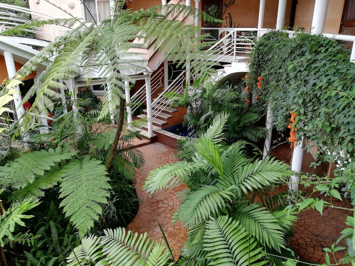 Hotel Ciudad Vieja Guatemala City Exterior photo