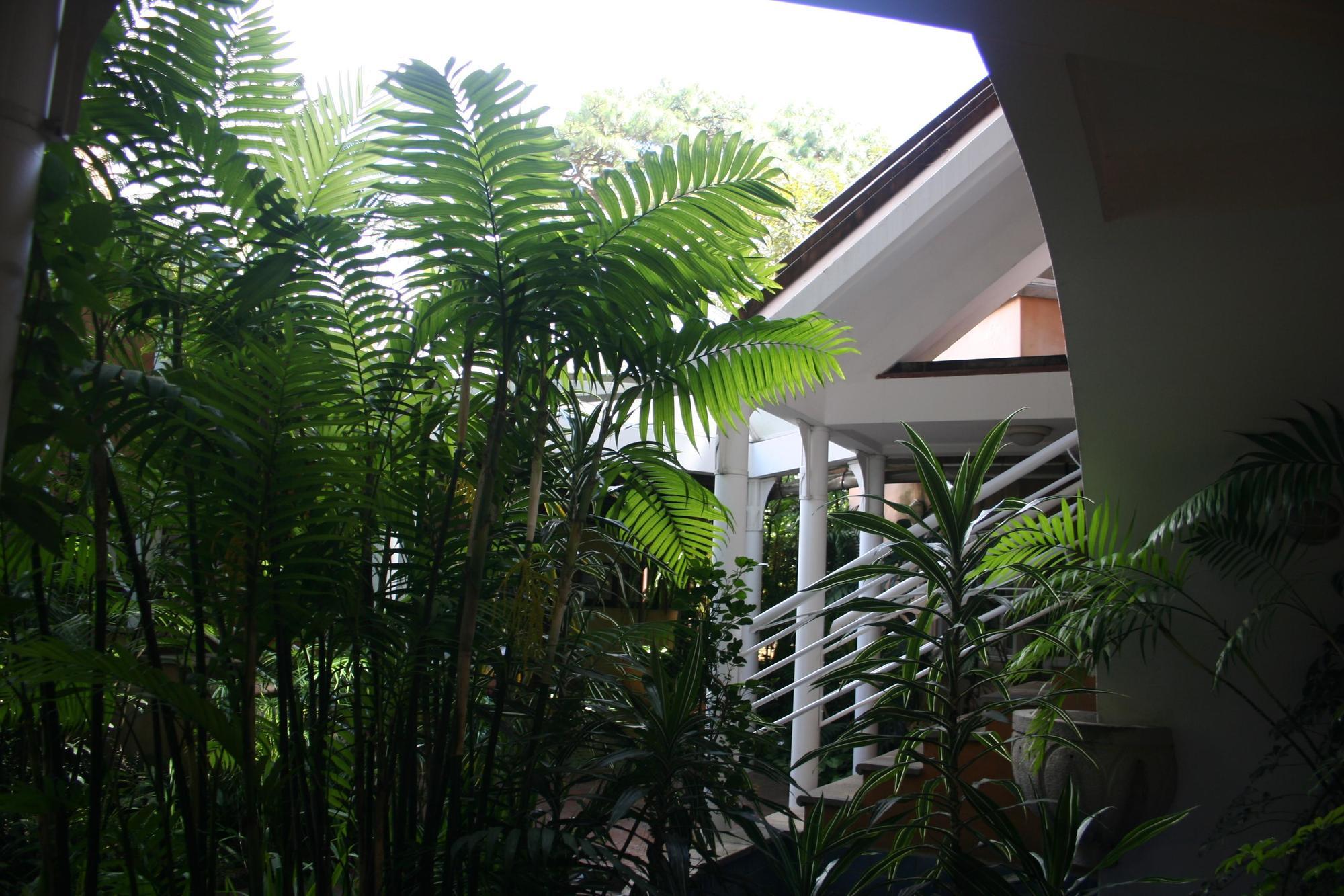 Hotel Ciudad Vieja Guatemala City Exterior photo